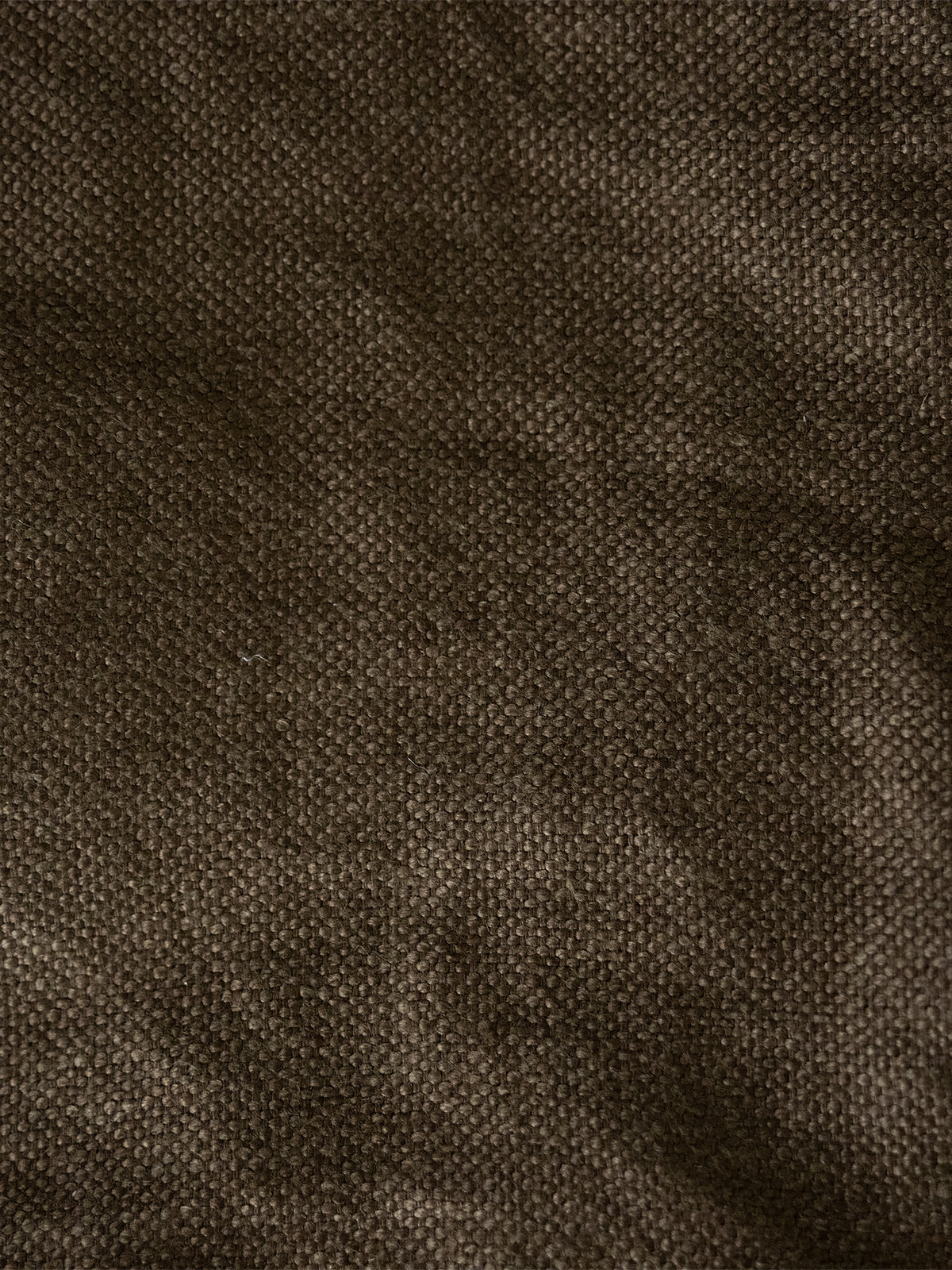 PALM_large_brown TR007